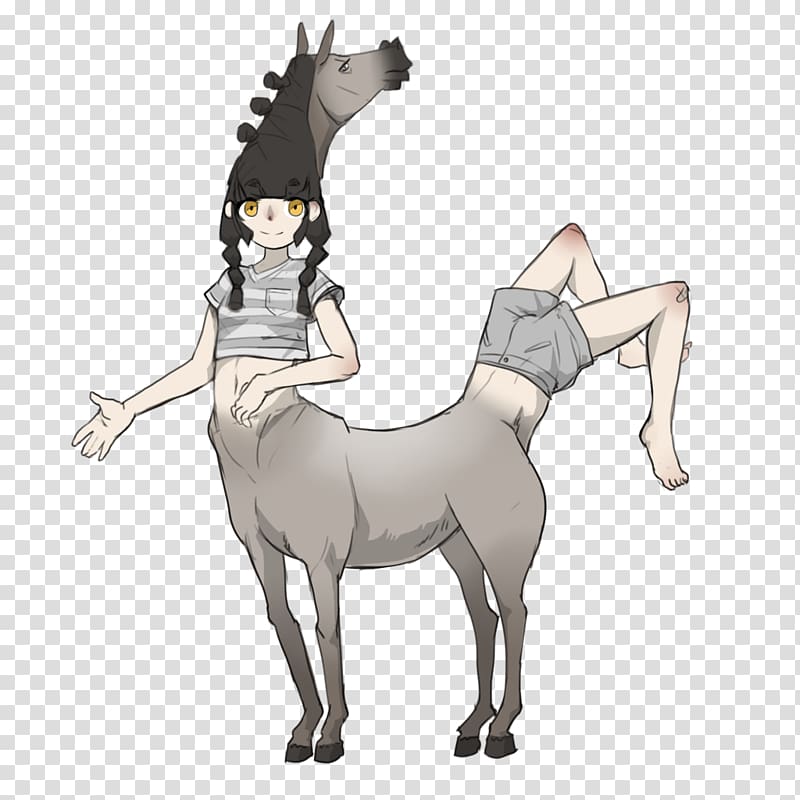 Mule Drawing Centaur, Centaur transparent background PNG clipart