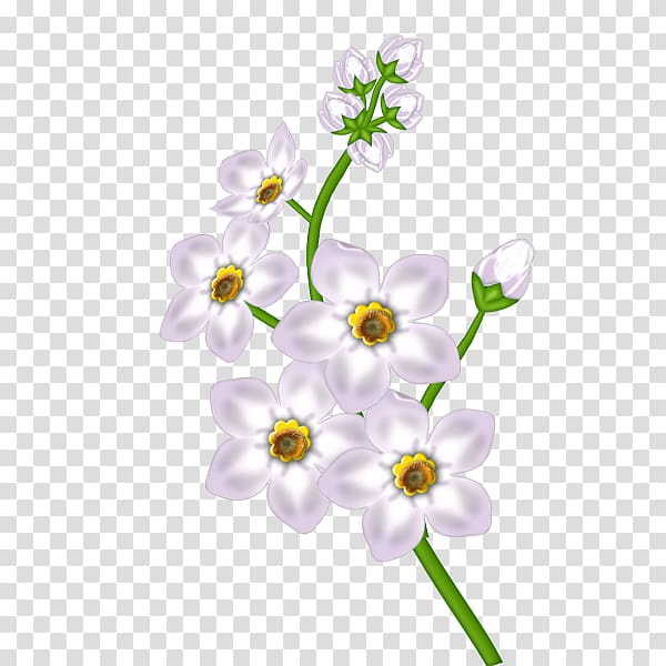 white flowers illustration, Flower Floral design, White Flower transparent background PNG clipart