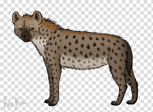 Hyena transparent background PNG clipart