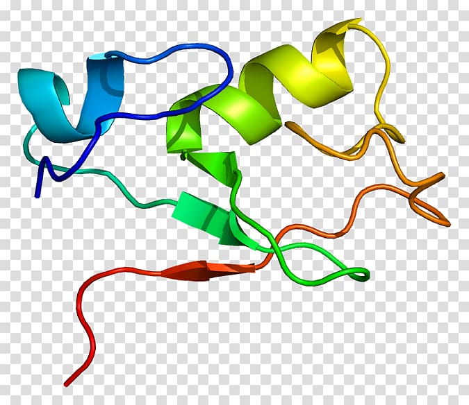 MNAT1 Gene Protein Mdm2 Cyclin-dependent kinase, others transparent background PNG clipart