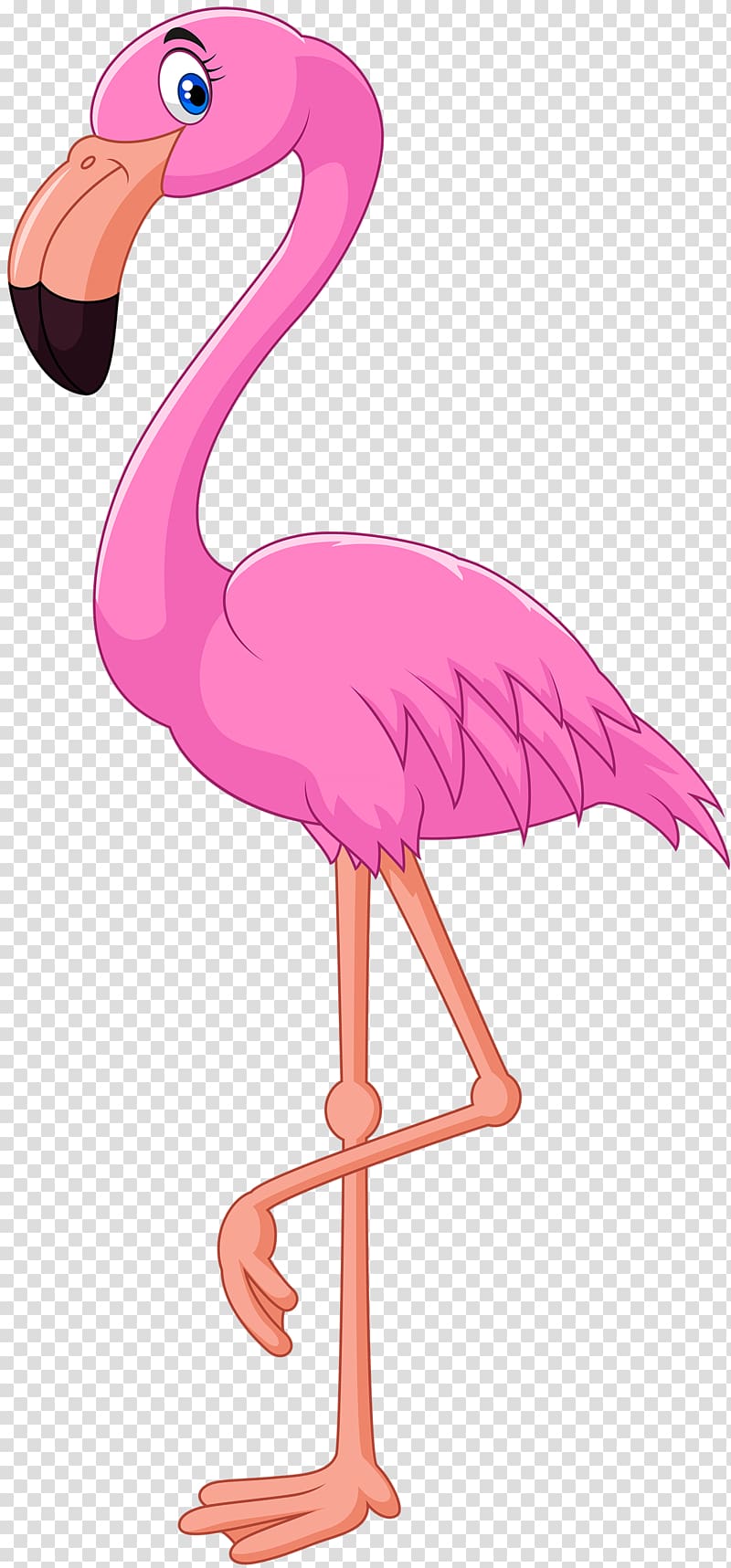 Free download | Pink flamingo illustration, Cartoon Flamingo Bird Illustration, Flamingo