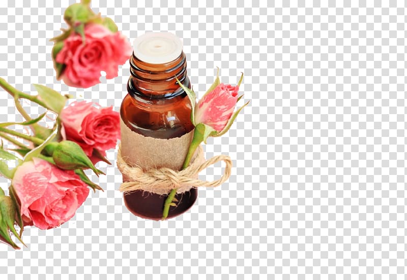 Rose water Toner Cosmetics Essential oil, Herbal Apothecary transparent background PNG clipart