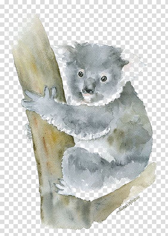 Koala Watercolor painting Art, Koala transparent background PNG clipart