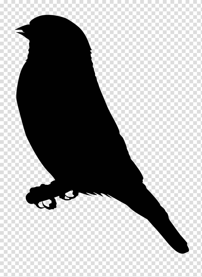 European goldfinch , bats transparent background PNG clipart