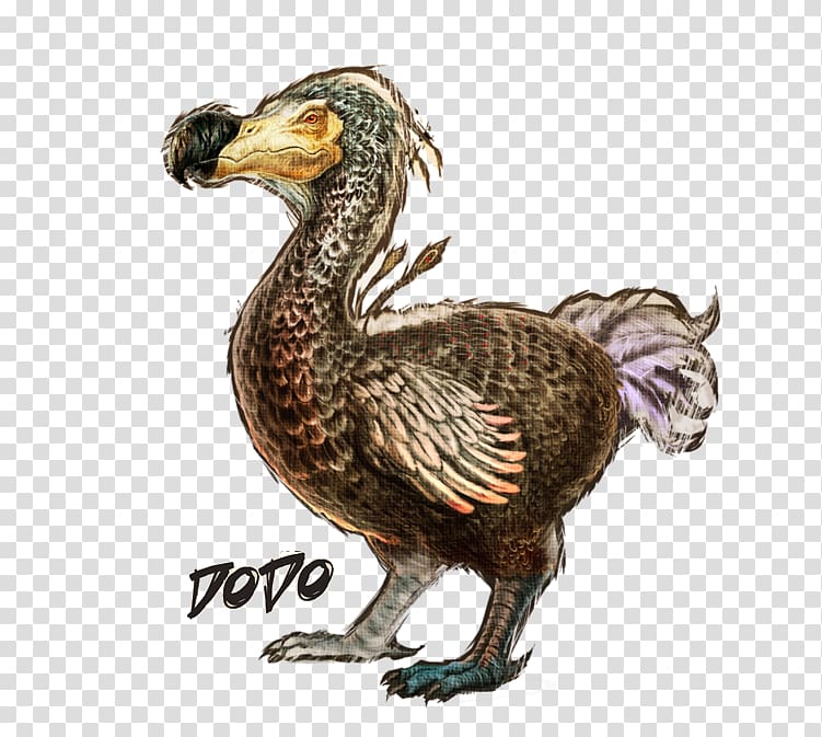 ARK: Survival Evolved Dodo Allosaurus Mosasaurus Dinosaur, ark transparent background PNG clipart