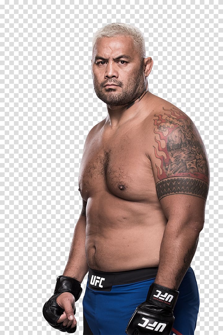 Mark Hunt UFC 135: Jones vs. Rampage UFC Fight Night 85: Hunt vs. Mir UFC Fight Night 110: Lewis vs. Hunt UFC Fight Night 65: Miocic vs. Hunt, hunt transparent background PNG clipart