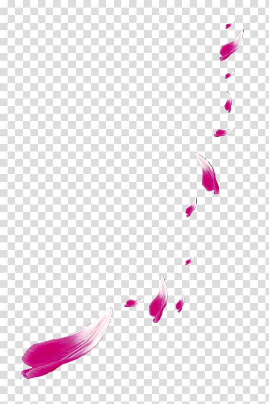 Petal Color Red, Pink falling petal background material free to pull transparent background PNG clipart