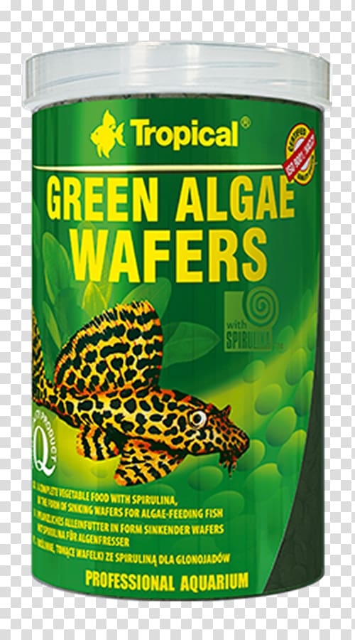 Green algae Spirulina Mate Food, plant transparent background PNG clipart