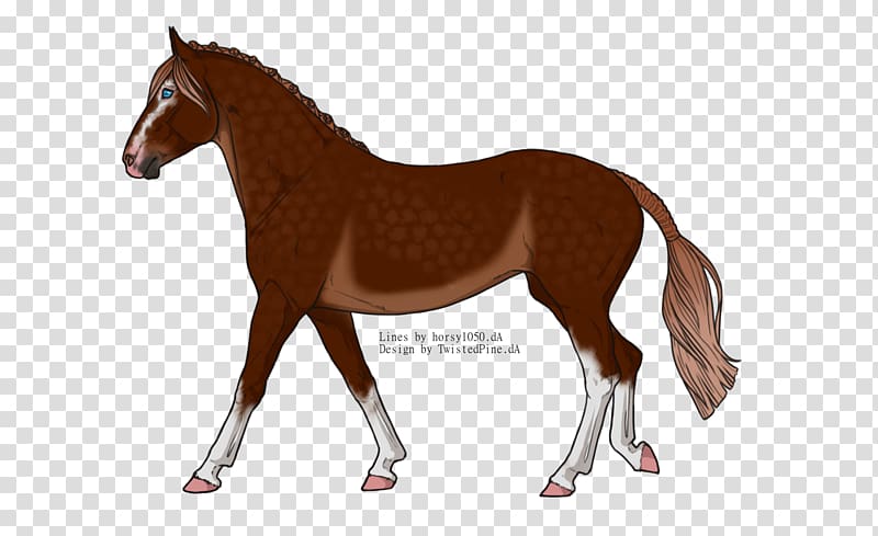 Mustang Foal Mare Stallion Colt, minimal tobiano transparent background PNG clipart