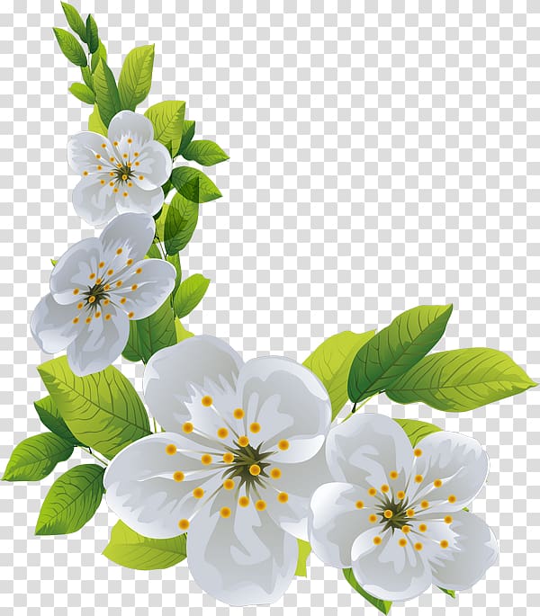 Cherry blossom Spring Cut flowers, cherry blossom transparent background PNG clipart