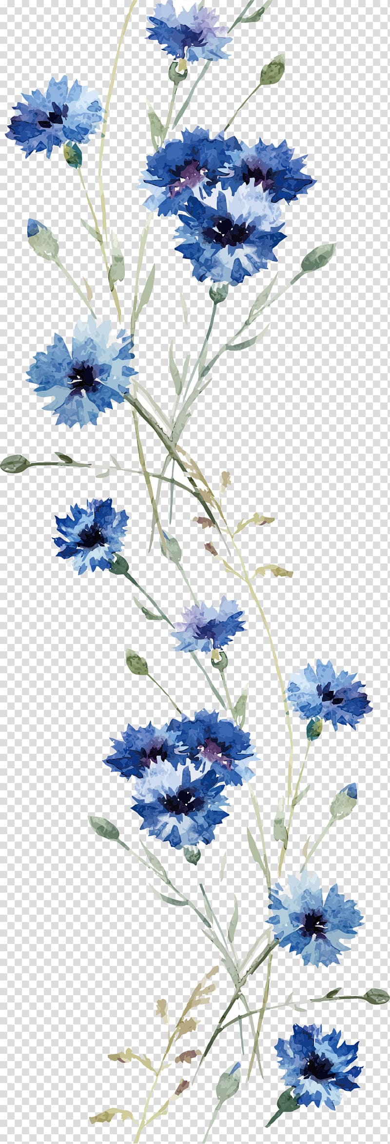 Flower Wall decal , Watercolor orchid , blue cornflowers painting transparent background PNG clipart