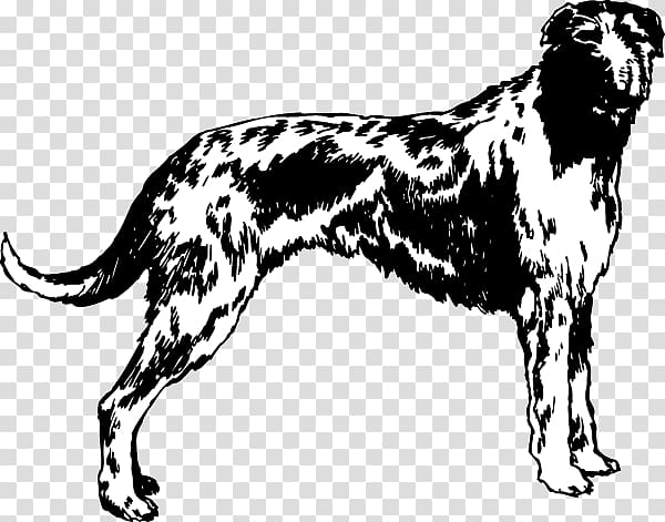 Dog breed Afghan Hound Scottish Deerhound Sporting Group Decal, Afghan Hound transparent background PNG clipart