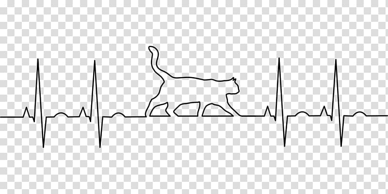 Cat Veterinarian Medicine Electrocardiography Disease, Cat transparent background PNG clipart