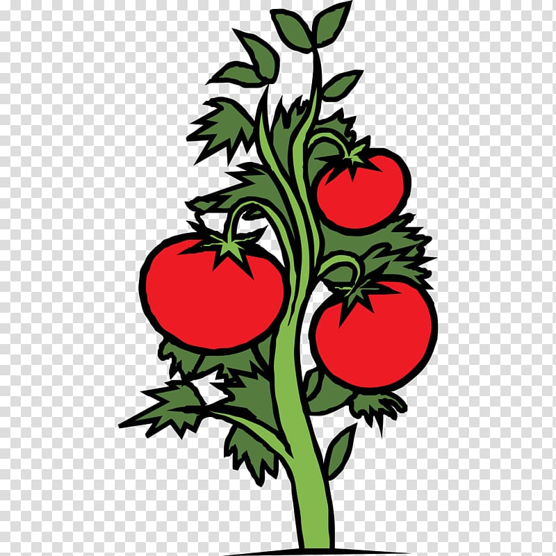 Plant Free content , Tomato transparent background PNG clipart