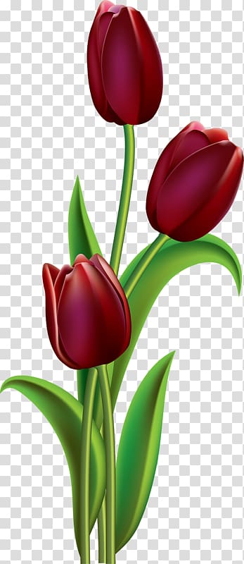 Tulip Flower Painting Floral design , tulip transparent background PNG clipart