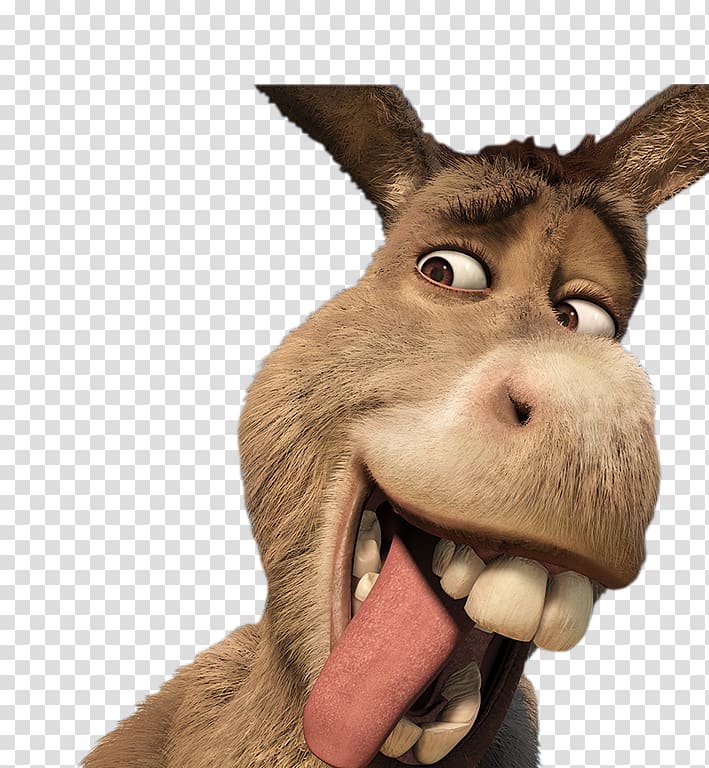 Donkey Shrek Film Series YouTube, donkey transparent background PNG clipart