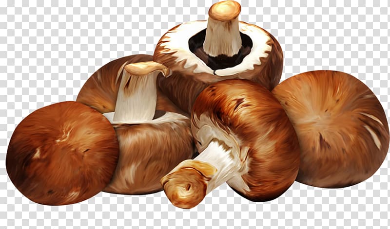 Scaloppine Edible mushroom Shiitake Food, mushroom transparent background PNG clipart