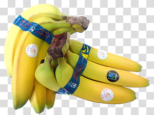 Banana Equifruit, Inc. Fairtrade certification Fair trade, double eleven discount transparent background PNG clipart thumbnail
