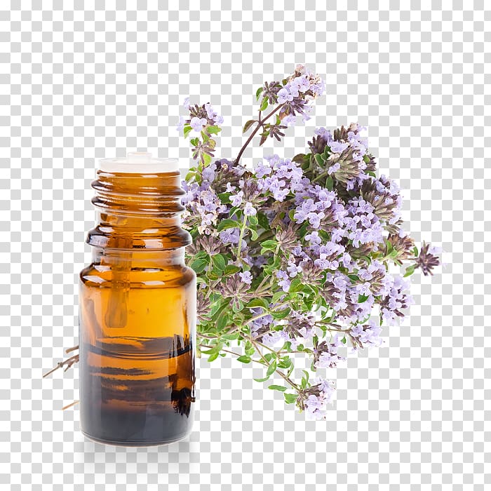 Linalool Garden Thyme Herb Pianta aromatica Oil, others transparent background PNG clipart