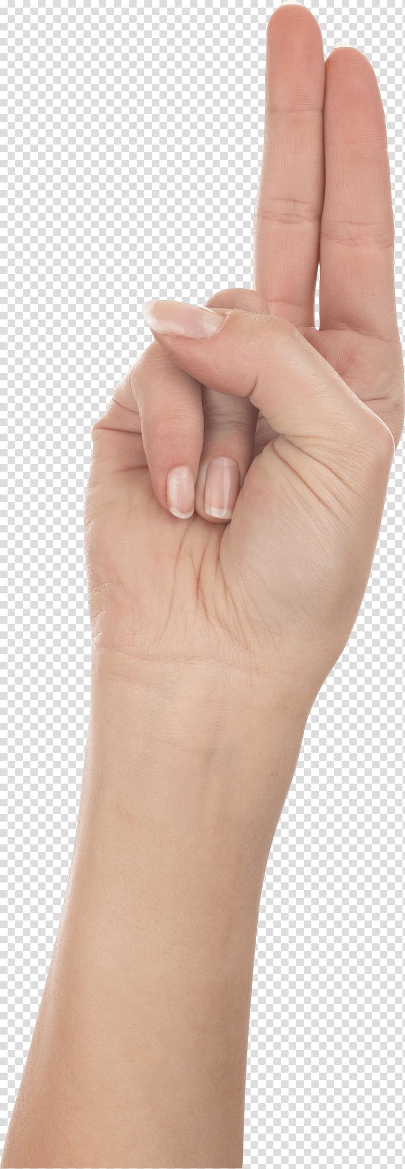 Nail polish Nail salon Manicure Nail disease, Hands Hand transparent background PNG clipart