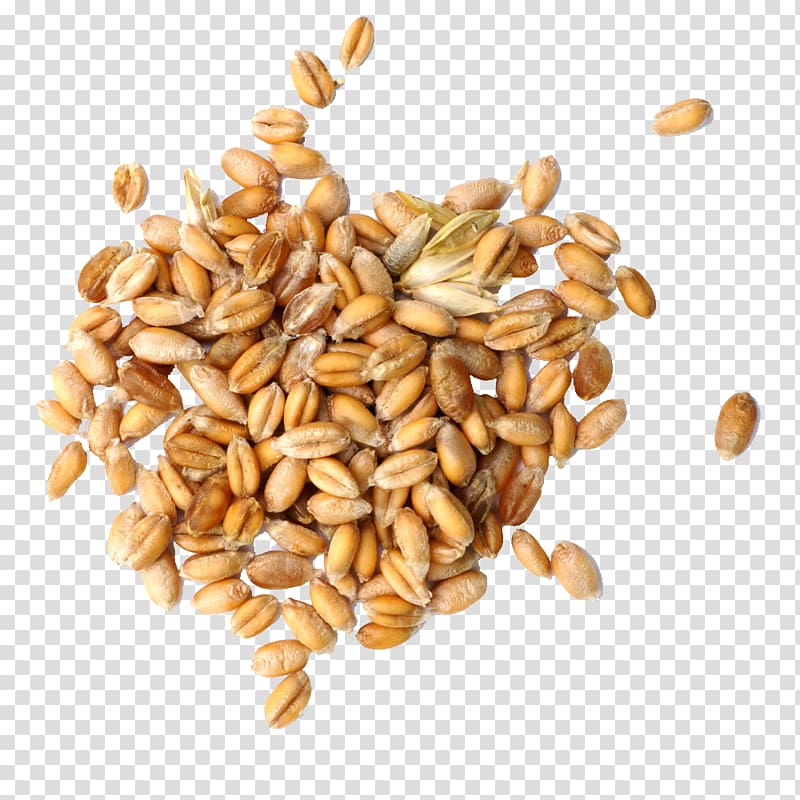 pile of peanuts, Cereal germ Wheat Grain, Wheat grain transparent background PNG clipart
