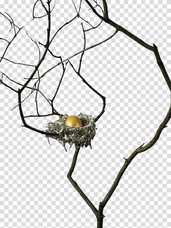 , Creative nest on Shuya transparent background PNG clipart