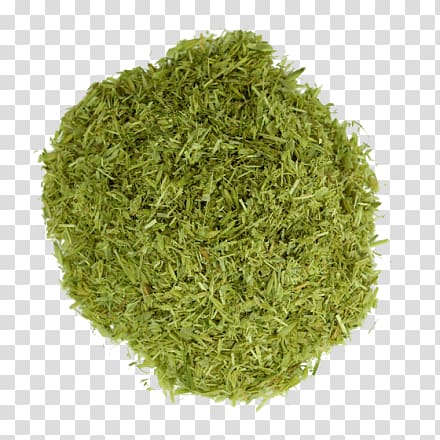 Sencha Matcha Green tea Powder, tea transparent background PNG clipart