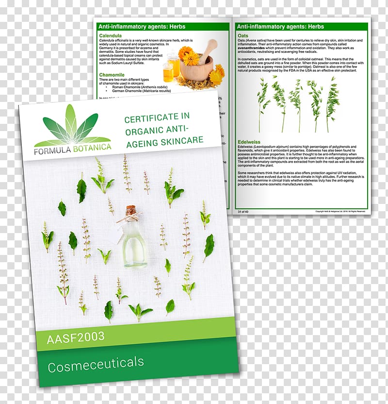 Natural skin care Cosmeceutical Formulation, Botanica transparent background PNG clipart