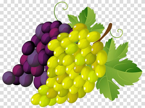 Common Grape Vine Wine Grape leaves , Grape transparent background PNG clipart