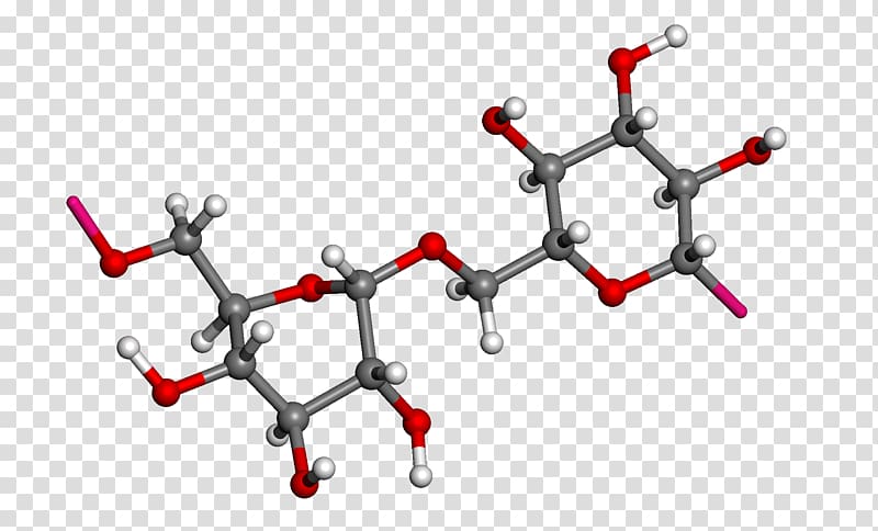 Ball-and-stick model Dextran Molecule Polysaccharide Branching, molecule transparent background PNG clipart
