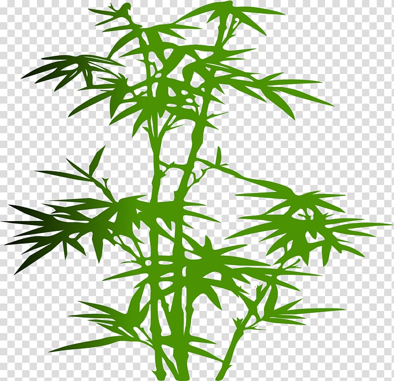 Bamboo Silhouette , Lush bamboo transparent background PNG clipart