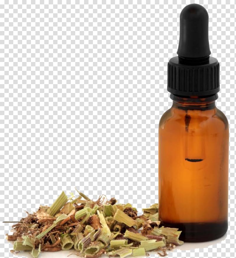 Herb Muscle relaxant Valerian Tincture Pharmaceutical drug, rheum palmatum transparent background PNG clipart