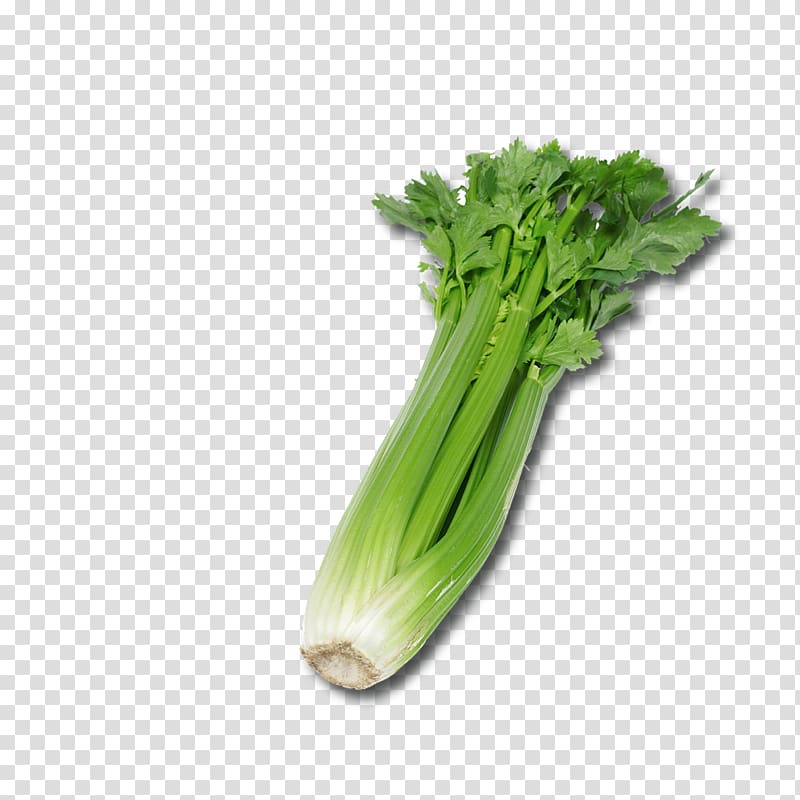 Celeriac Celery Remoulade Vegetable Fennel, dragon ball transparent background PNG clipart