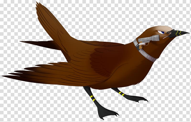 Beak Bird Galliformes Fauna Wing, Bird transparent background PNG clipart