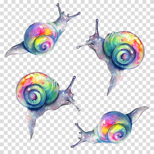 Snail Rainbow Painting Slug Color, Snail transparent background PNG clipart