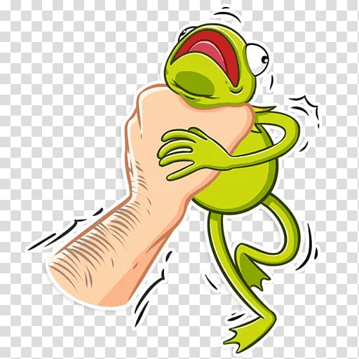 Kermit the Frog Telegram Tree frog Sticker, frog transparent background PNG clipart