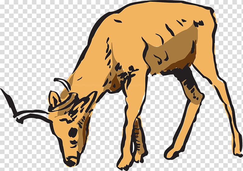 Deer Impala Antelope , deer transparent background PNG clipart