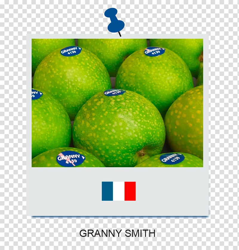 Persian lime Iranian cuisine Desktop Granny Smith, lime transparent background PNG clipart