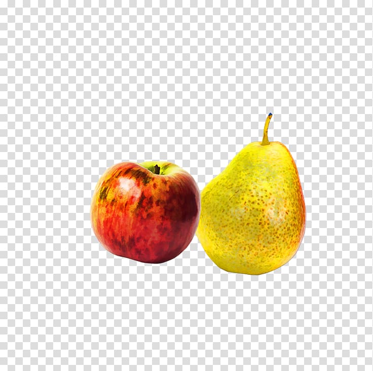 Apple Asian pear , apple transparent background PNG clipart