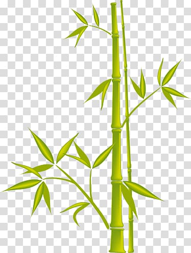 Bamboo Drawing, bamboo transparent background PNG clipart