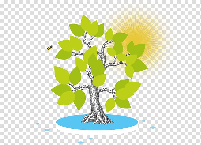 Branch synthesis Baum Und Sonne Leaf , korea culture transparent background PNG clipart