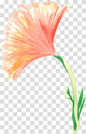 pink carnation flower painting, Painting Flowers Creative Watercolor Watercolor painting, Watercolor painted floral decoration transparent background PNG clipart thumbnail