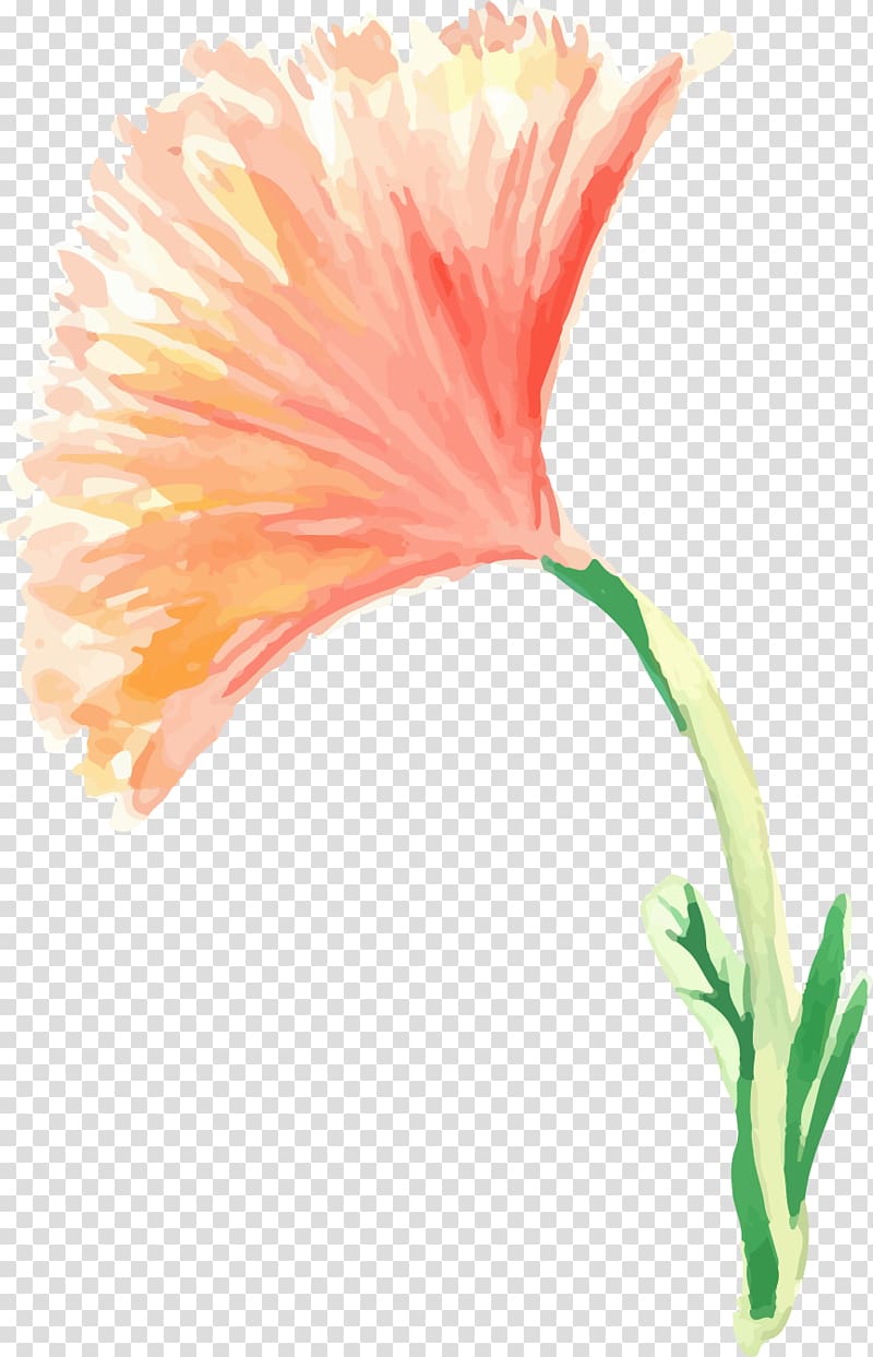 pink carnation flower painting, Painting Flowers Creative Watercolor Watercolor painting, Watercolor painted floral decoration transparent background PNG clipart