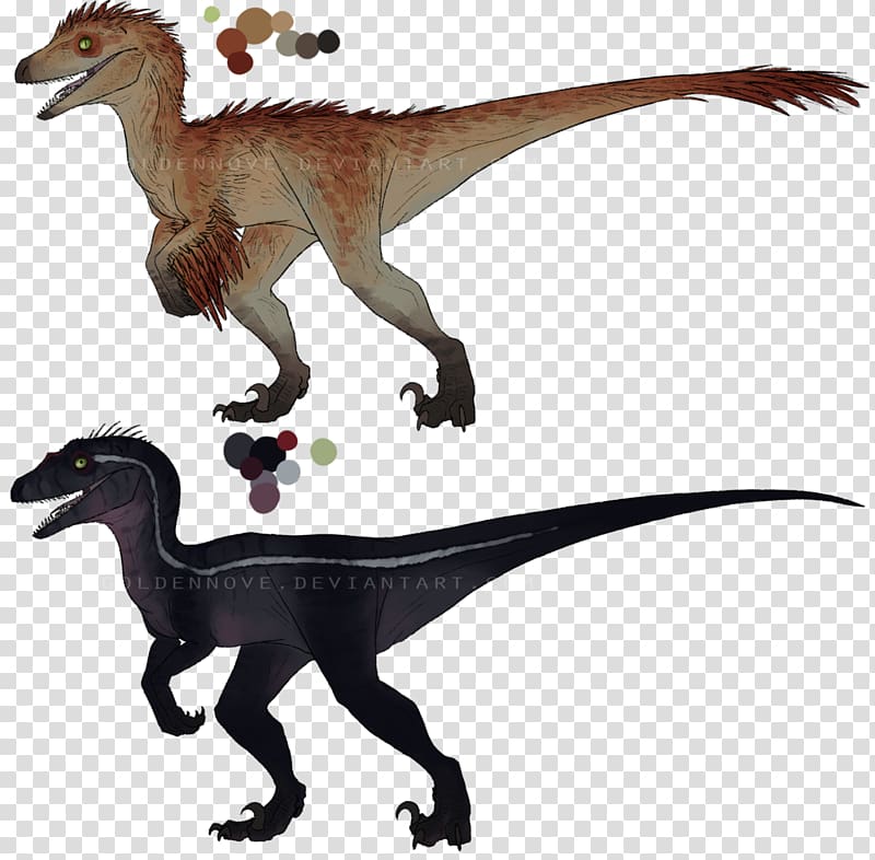 Velociraptor Dinosaur Tyrannosaurus Mazda Carnotaurus, toothless transparent background PNG clipart