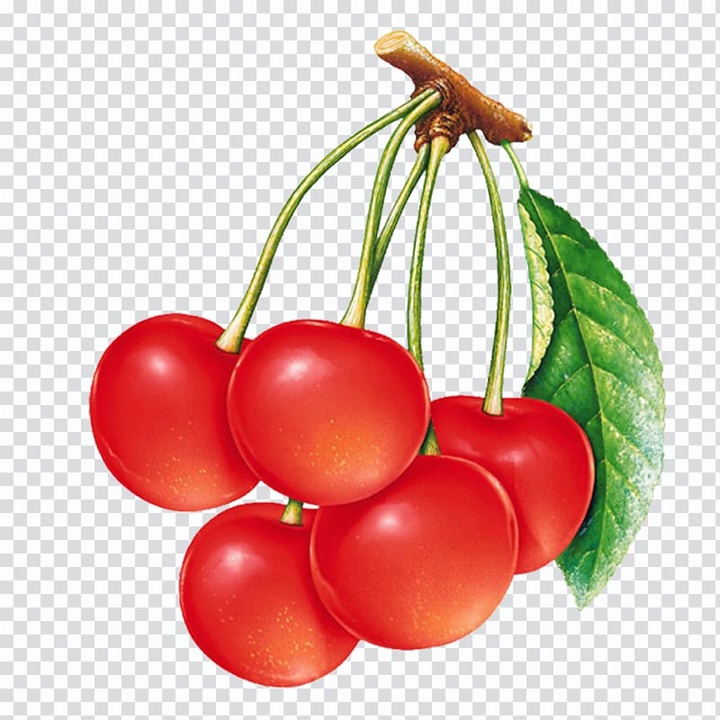 Sweet Cherry Sour Cherry , Cherry transparent background PNG clipart