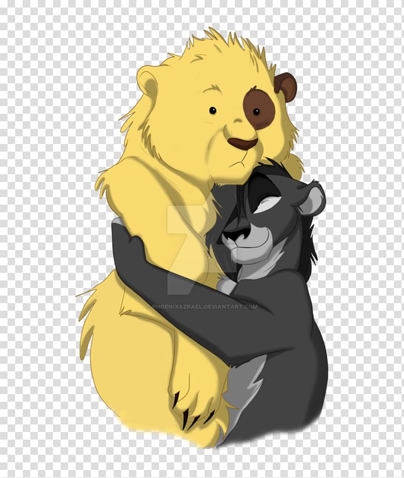 Lion Bear hug Cat Teddy bear, bear hug transparent background PNG clipart