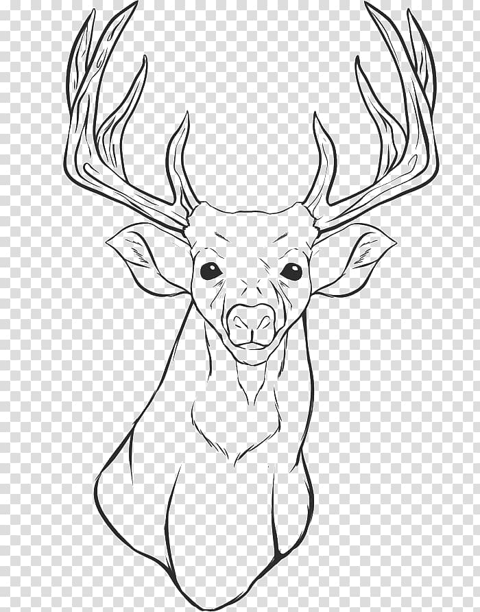 White-tailed deer Colouring Pages Coloring book Drawing, fairy tale material transparent background PNG clipart