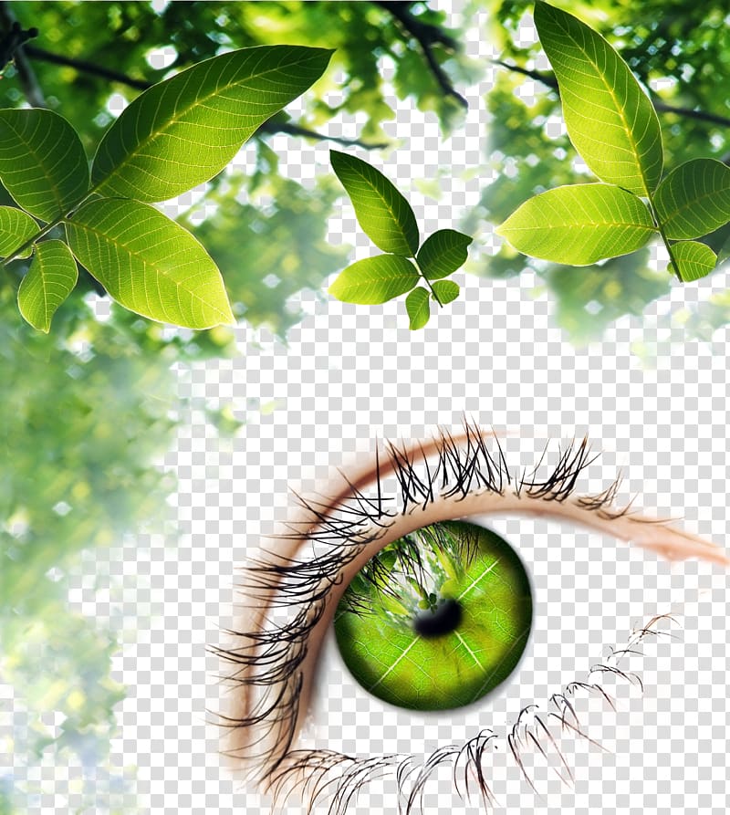 Human eye Green Illustration, Green leaf background eye pattern transparent background PNG clipart