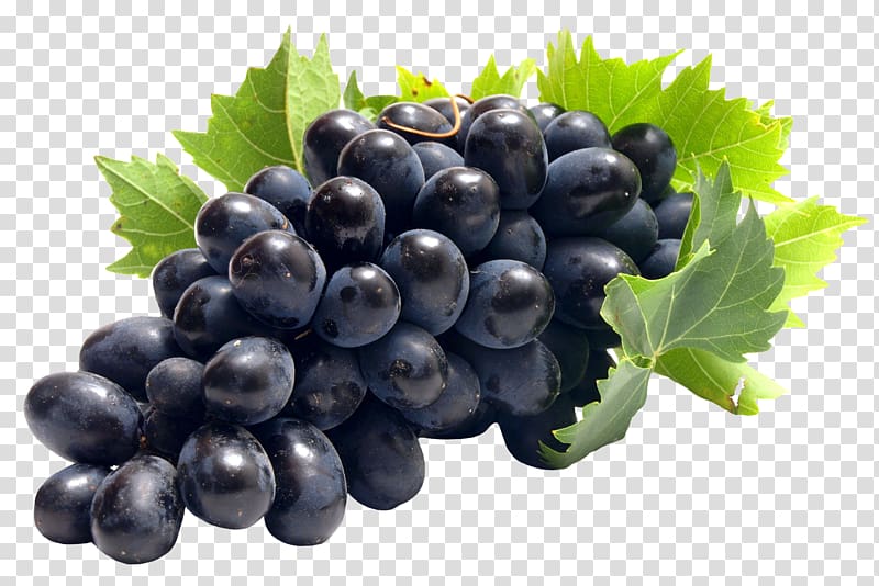 Common Grape Vine Juice , grape vine transparent background PNG clipart