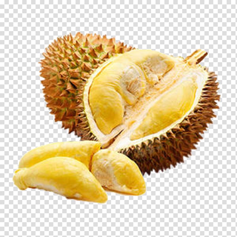 durian transparent background PNG clipart